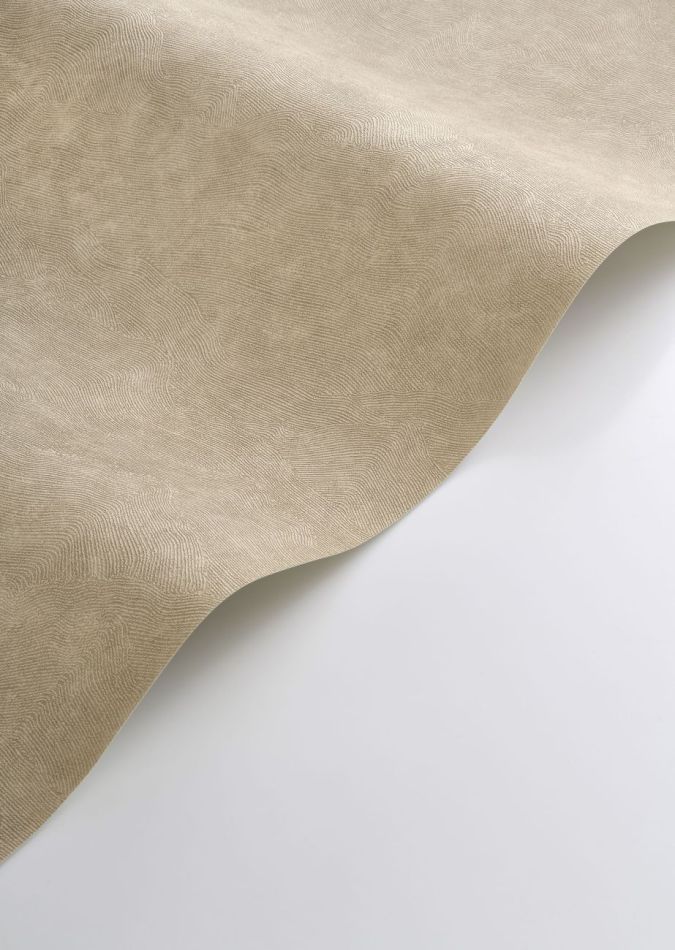 Preview: Côte d’Opale 201491818 Taupe