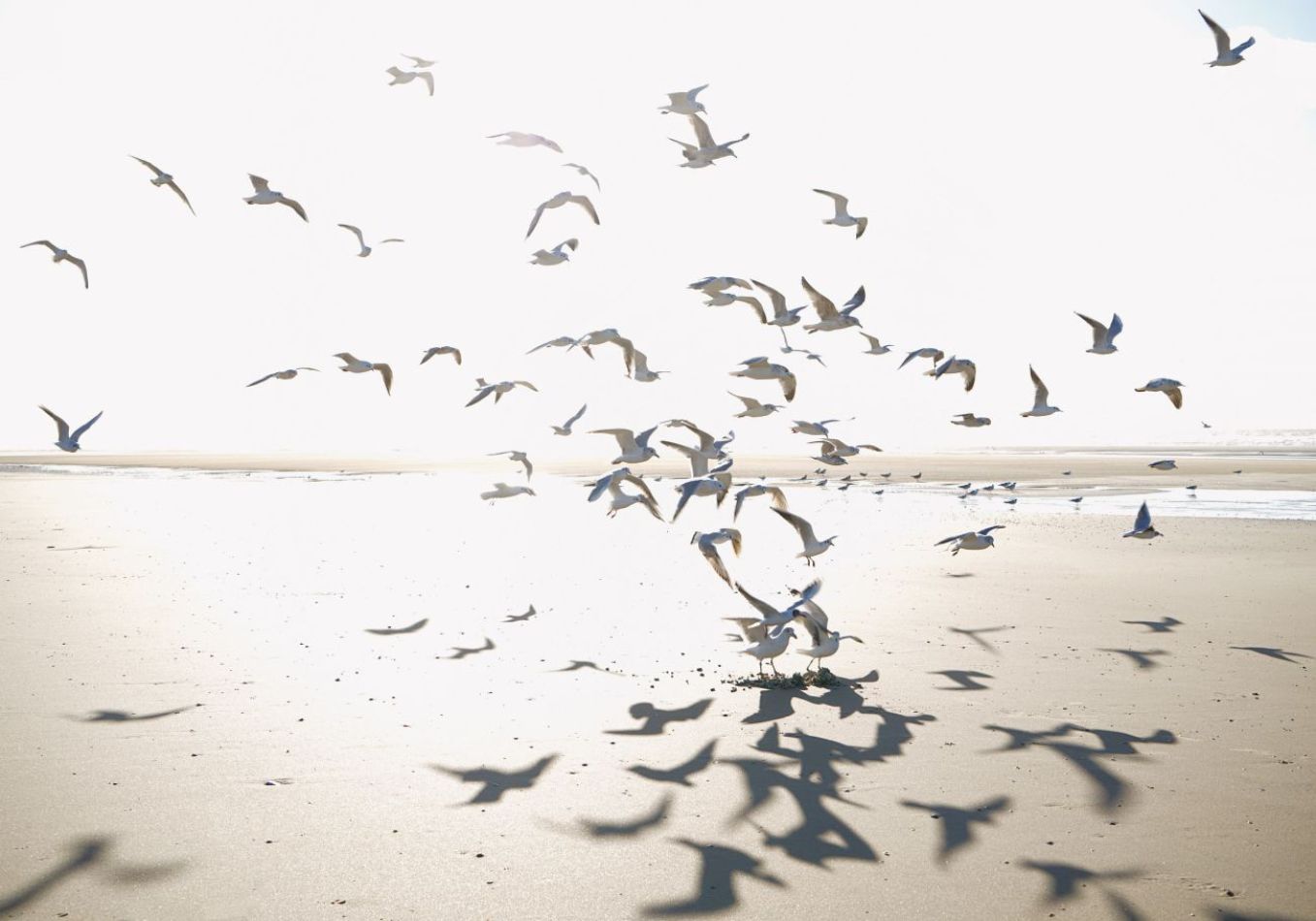 Preview: Houlgate 201531011 Size M