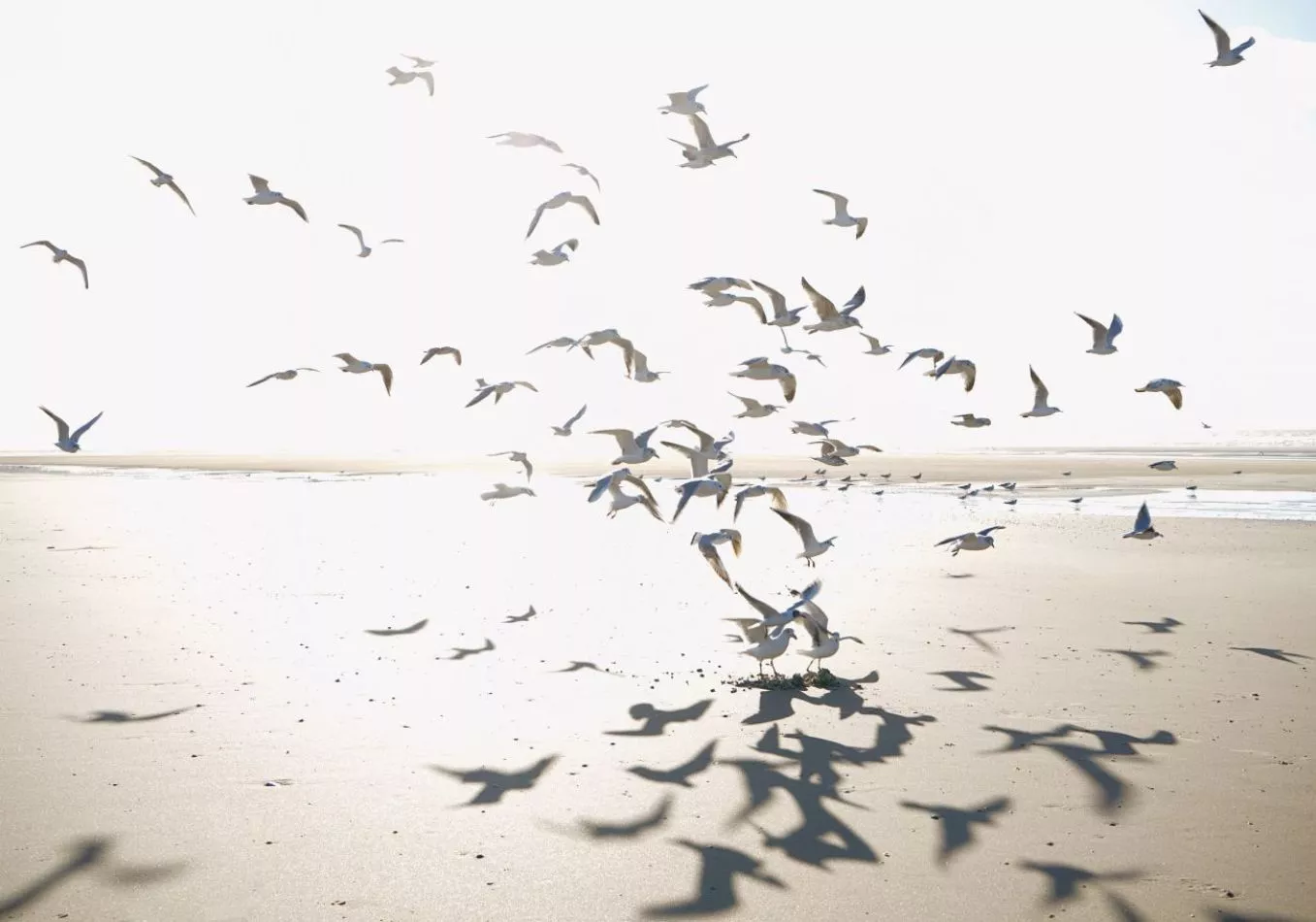 Houlgate 201531011 Size M