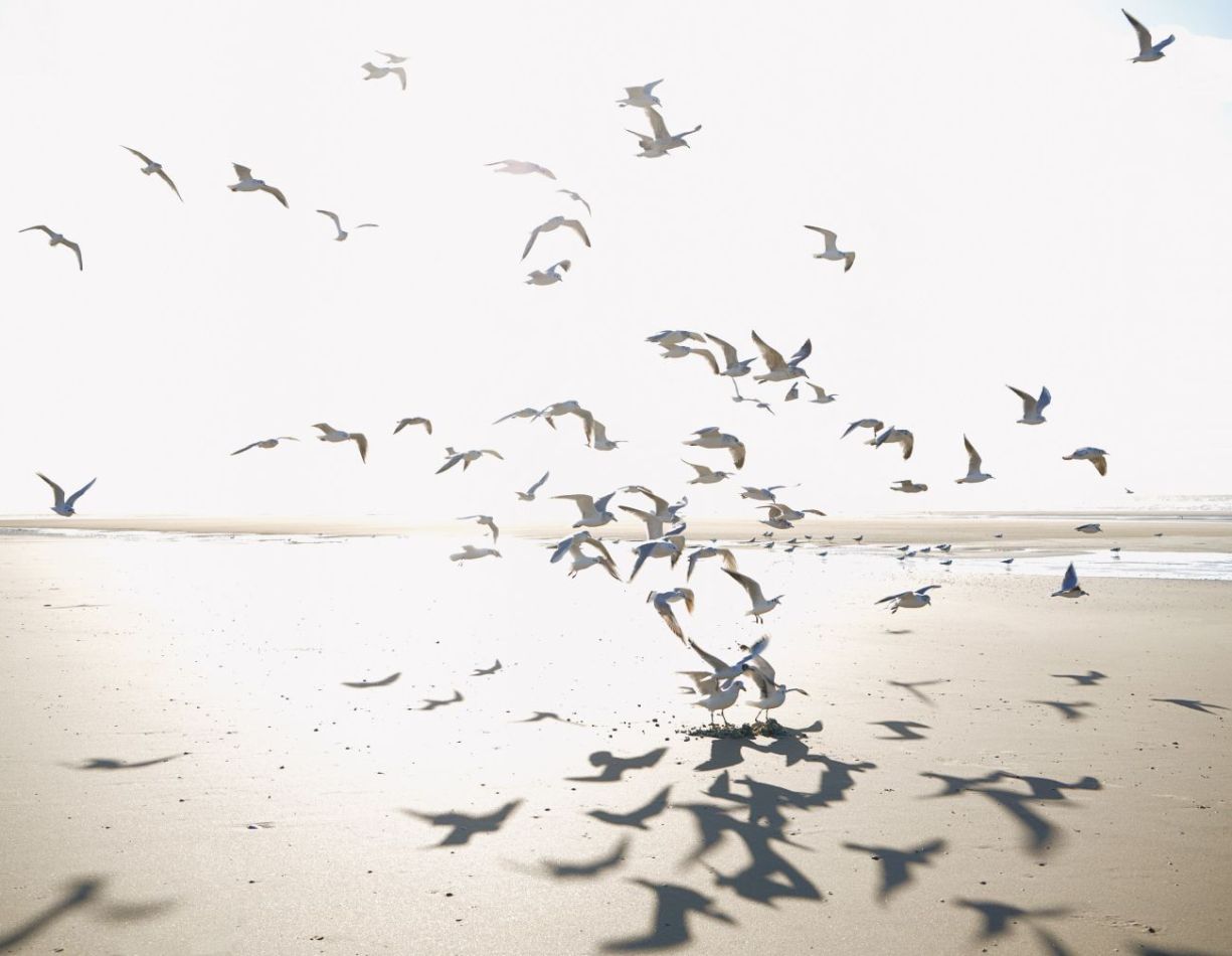 Preview: Houlgate 201531012 Size L