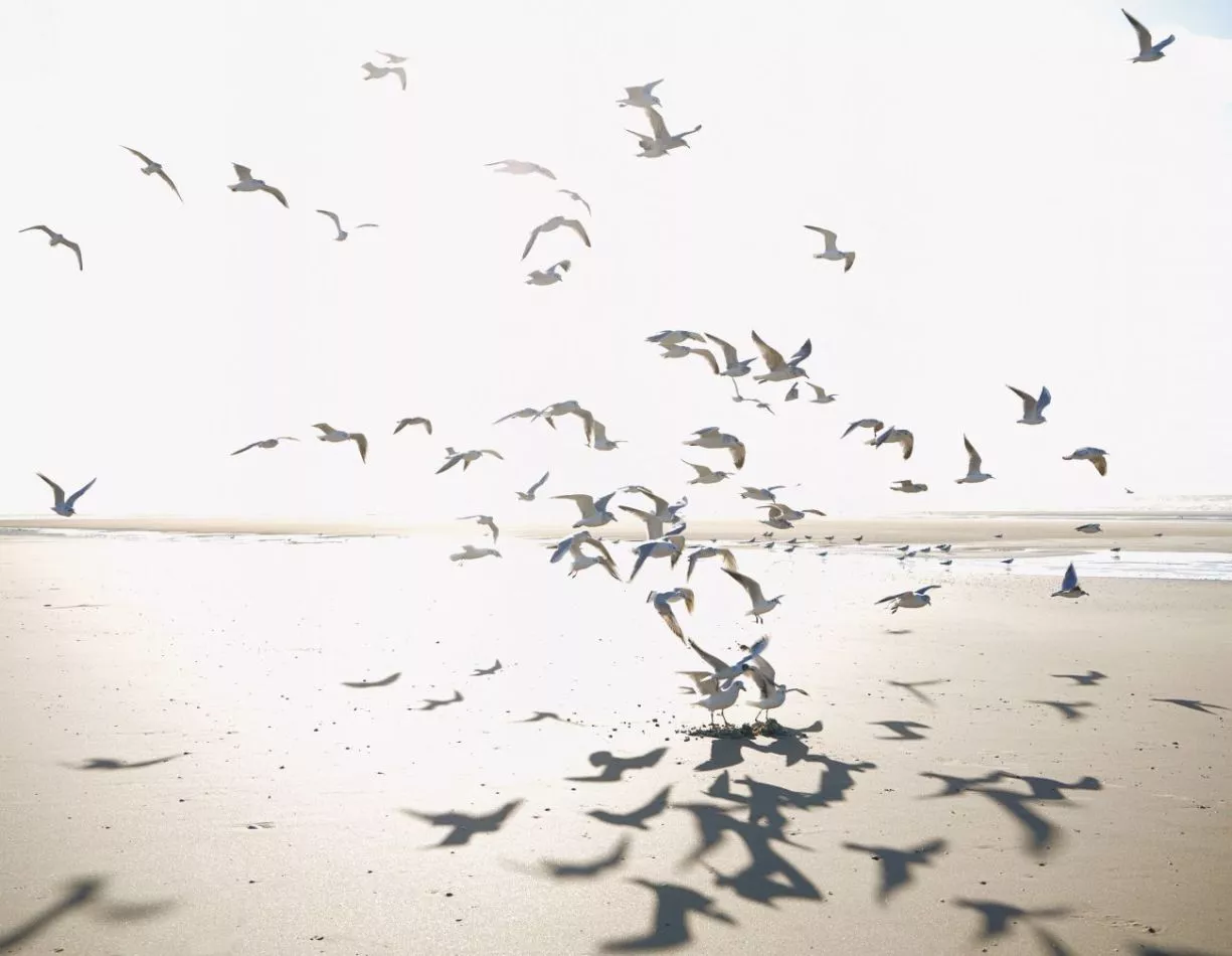 Houlgate 201531012 Size L