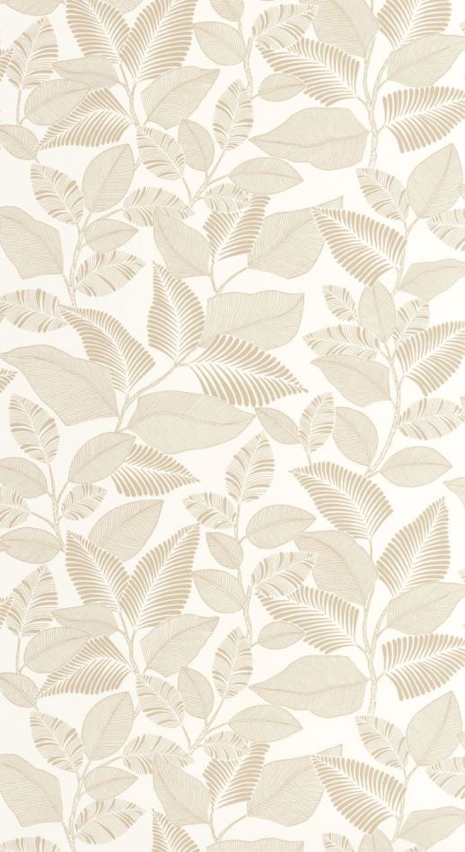 Preview: Paraty 201801430 Beige ficelle