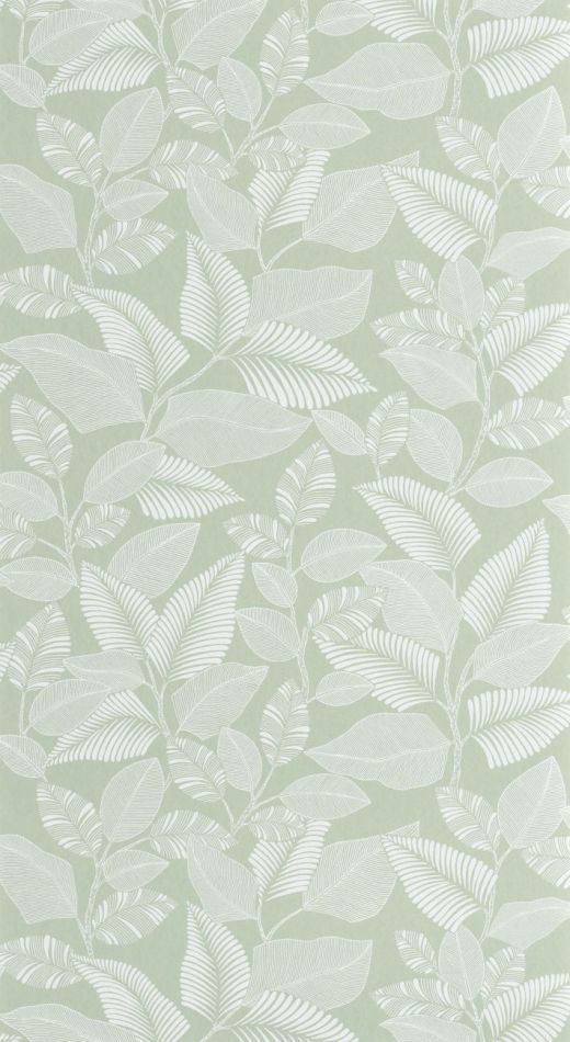 Preview: Paraty 201807244 Vert celadon