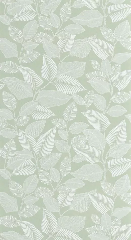 Paraty 201807244 Vert celadon