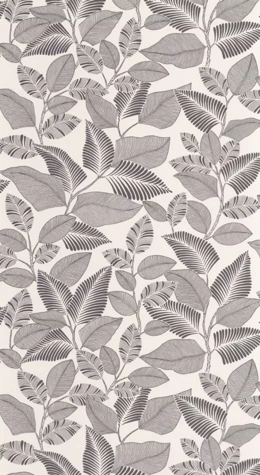 Paraty 201809271 Noir fusain