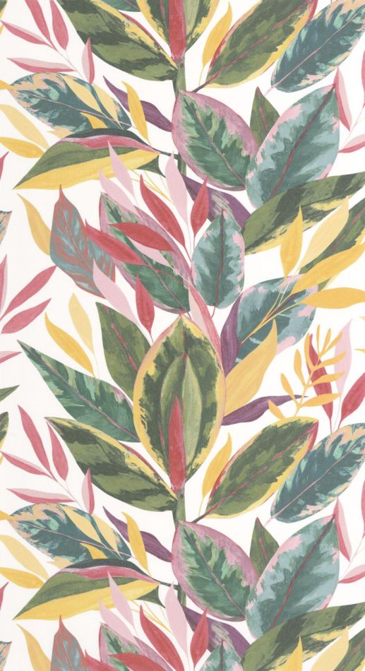 Preview: Ficus 201814218 Fuchsia