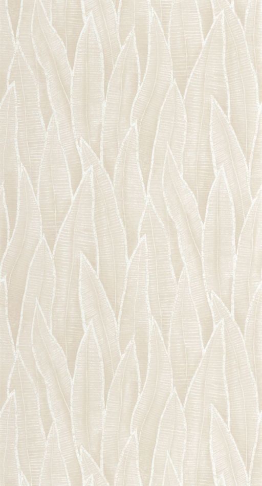 Preview: Sansevieria 201830155 Blanc craie