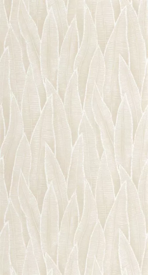 Sansevieria 201830155 Blanc craie