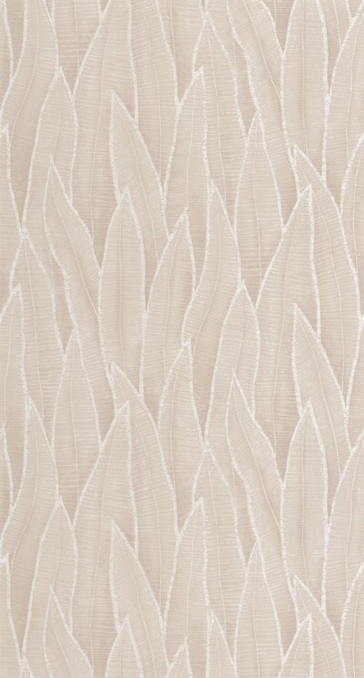 Preview: Sansevieria 201831873 Beige ficelle