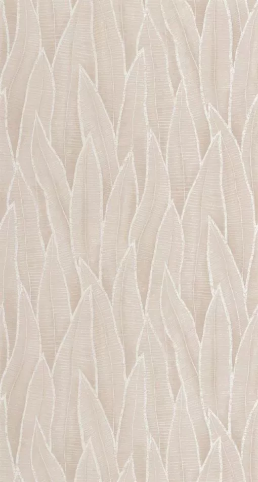 Sansevieria 201831873 Beige ficelle