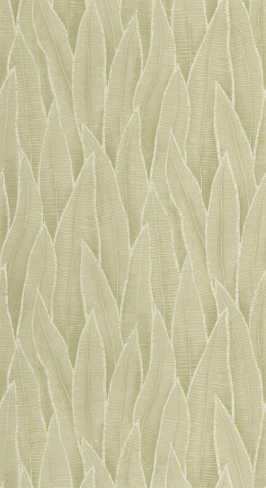 Preview: Sansevieria 201837260 Argile vert