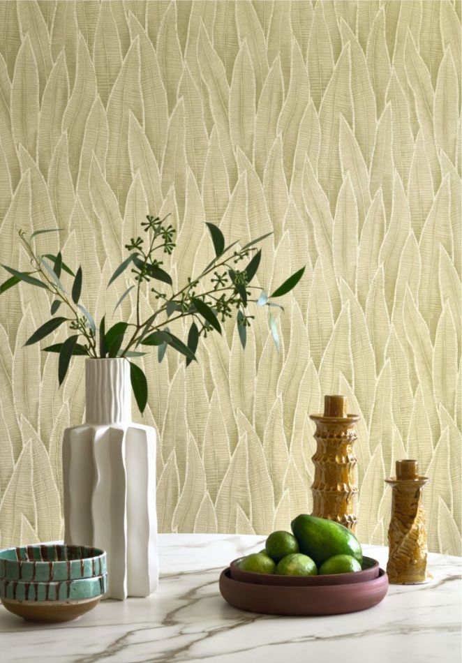 Preview: Sansevieria 201837260 Argile vert