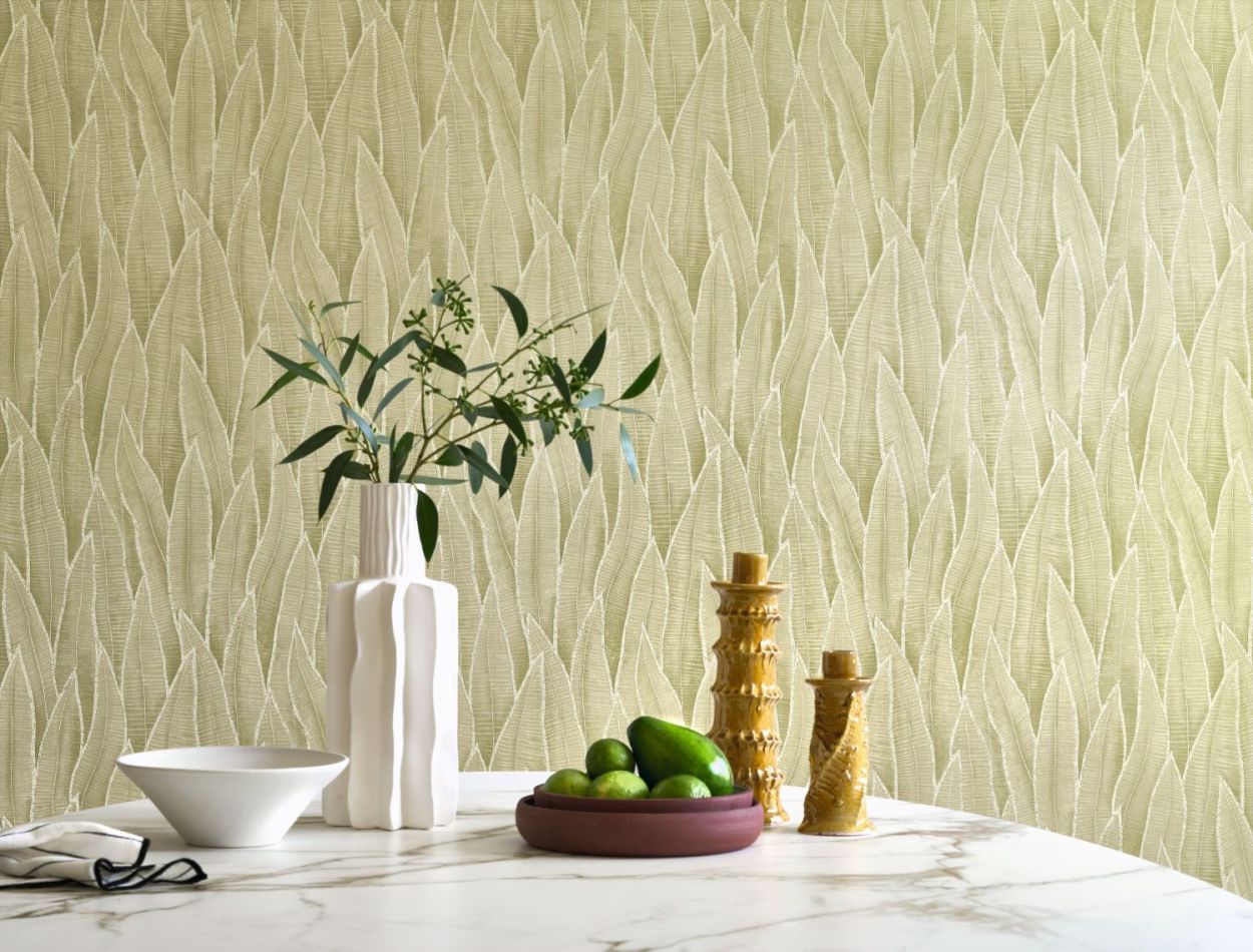 Preview: Sansevieria 201837260 Argile vert