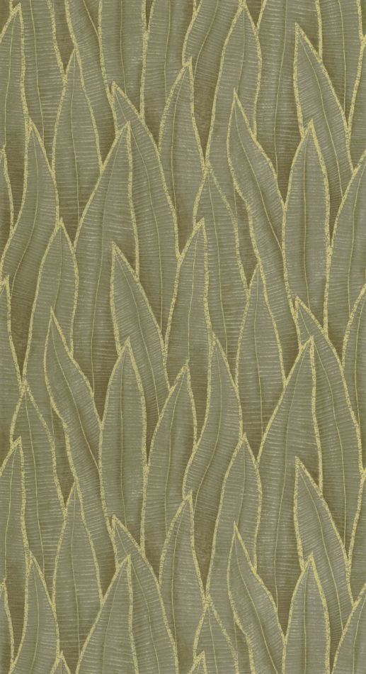 Preview: Sansevieria 201837807 Vert mousse