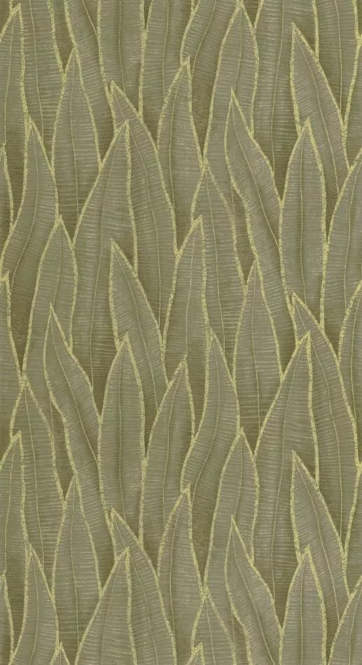 Sansevieria 201837807 Vert mousse