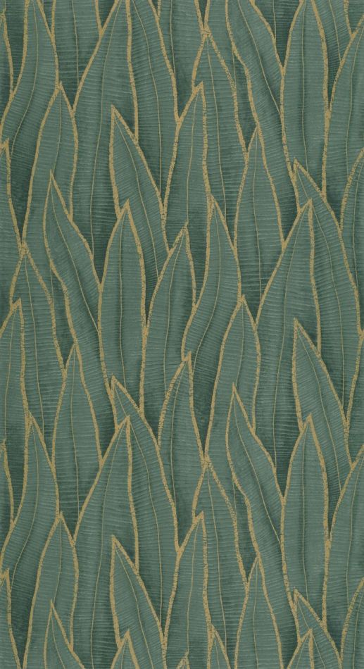 Preview: Sansevieria 201837914 Vert foret