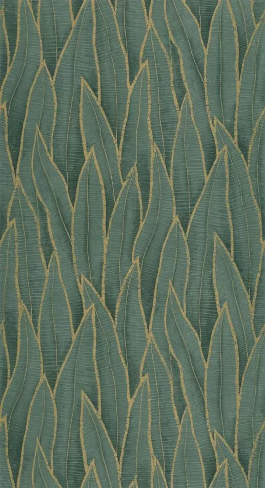 Sansevieria 201837914 Vert foret