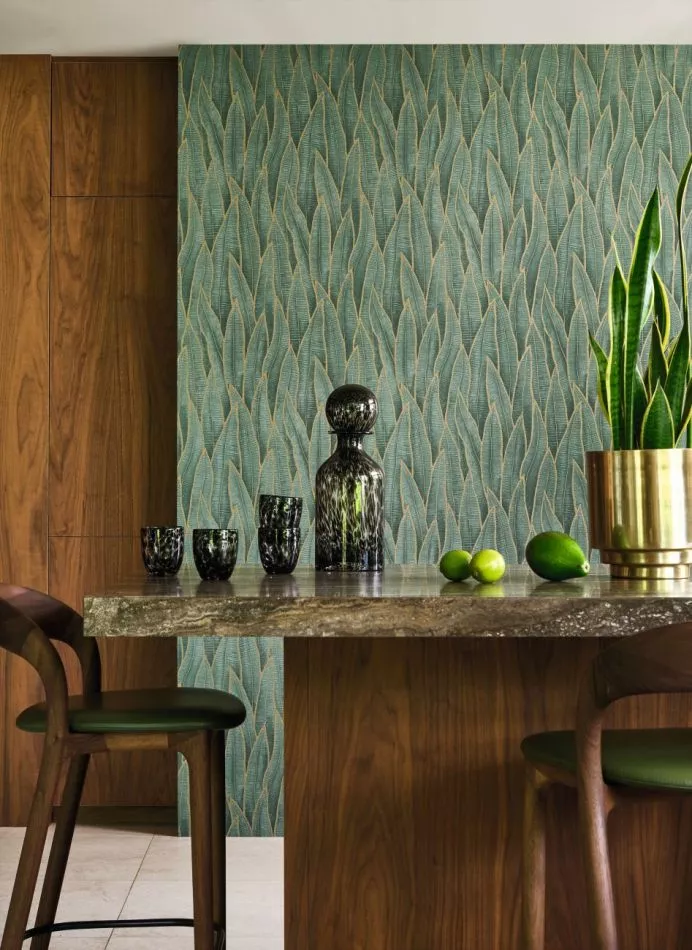 Sansevieria 201837914 Vert foret