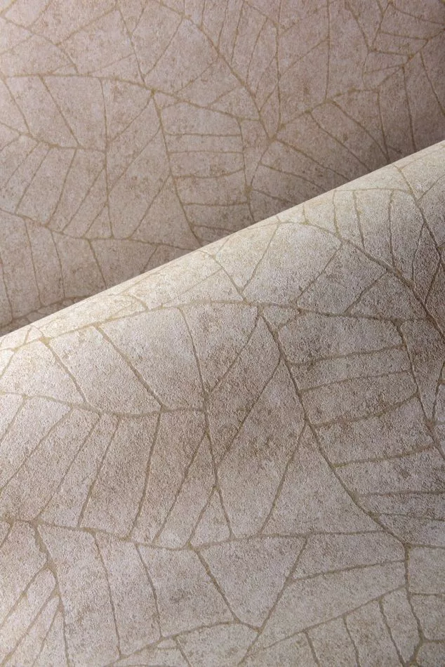 Essentials Fragment 30333 Dove