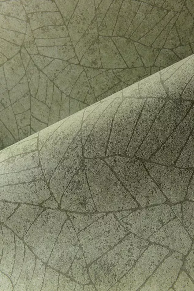 Essentials Fragment 30337 Absinthe