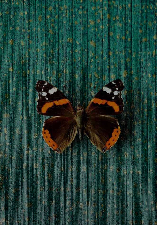 Preview: Museum 307351