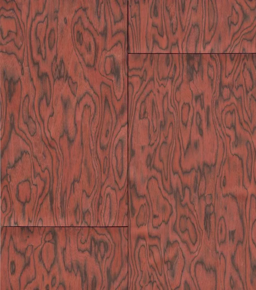 Coti 30800 Fire Orange