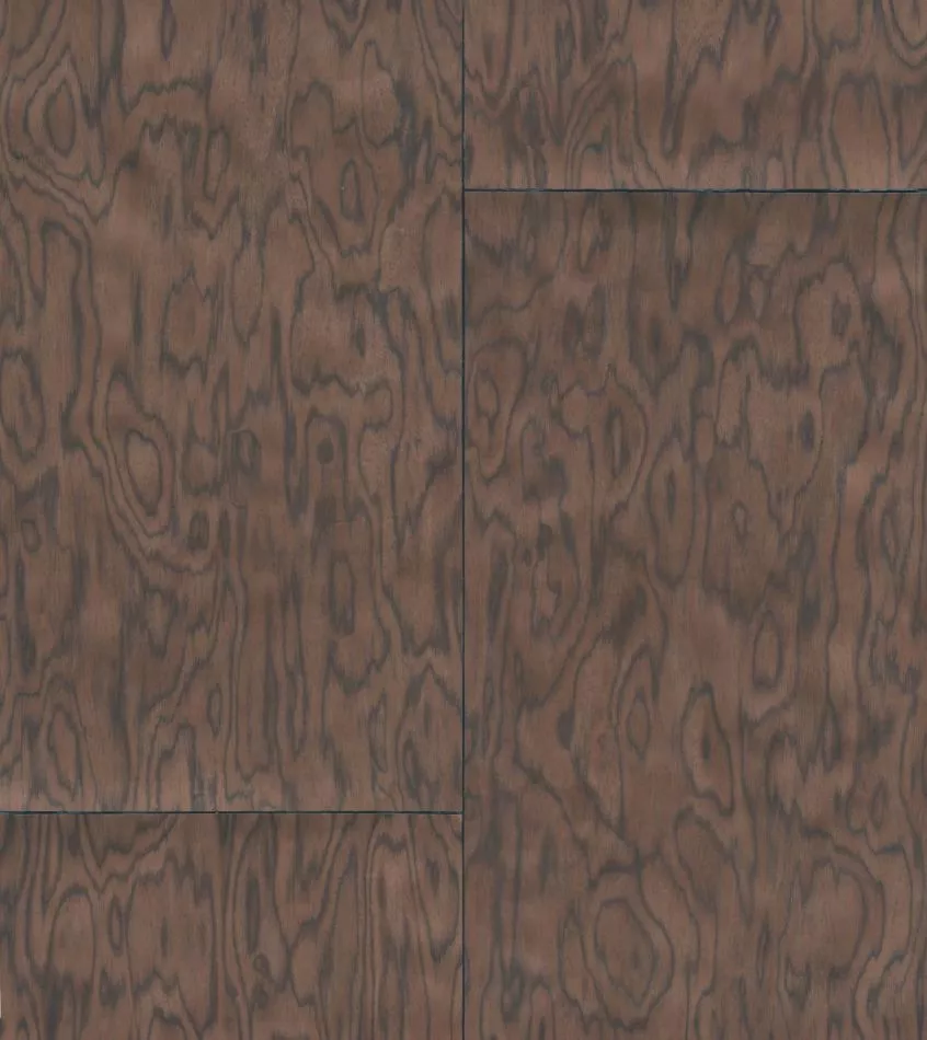 Coti 30802 Chocolate