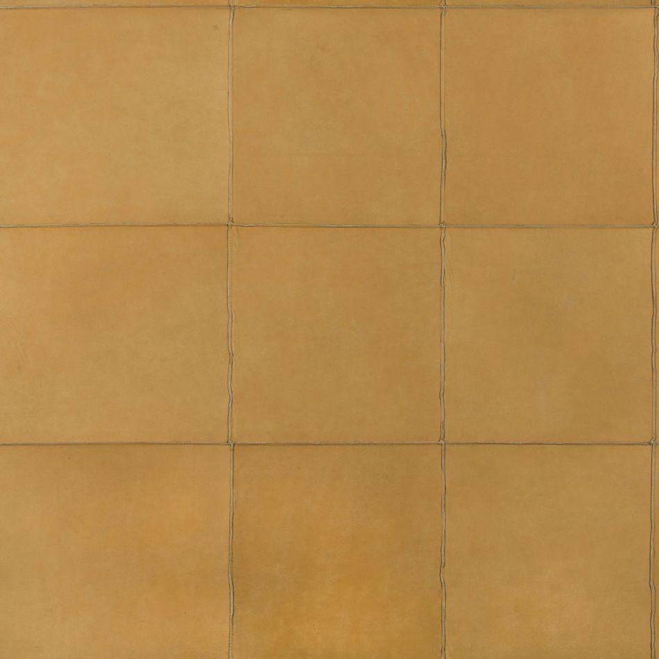 Preview: Les Cuirs Aspect 33542 HONEY