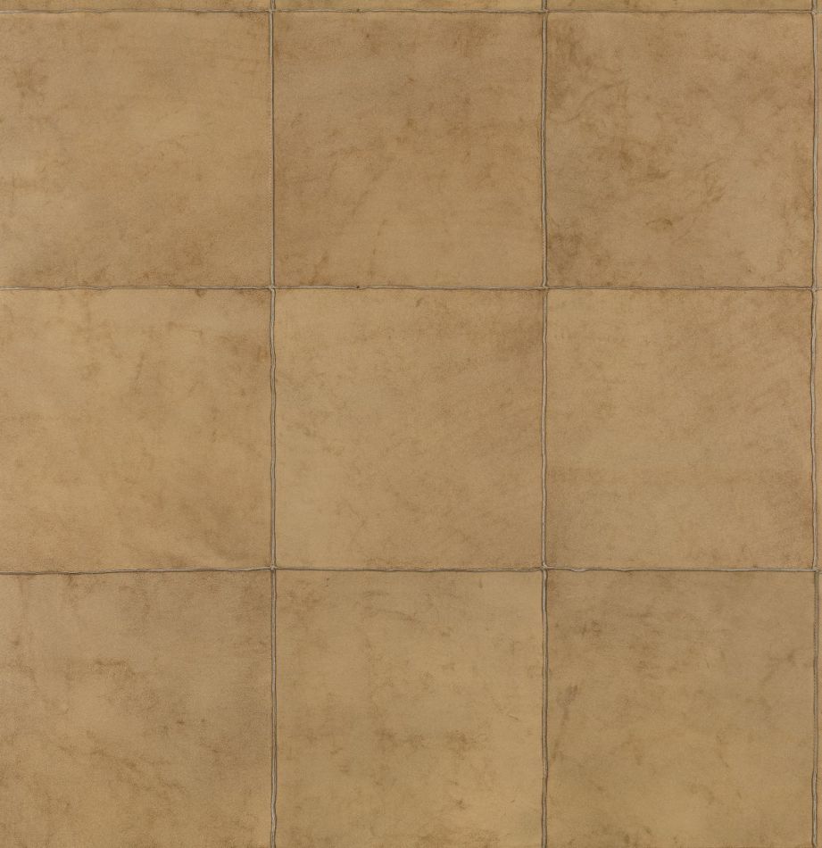 Preview: Les Cuirs Aspect 33545 CARAMEL