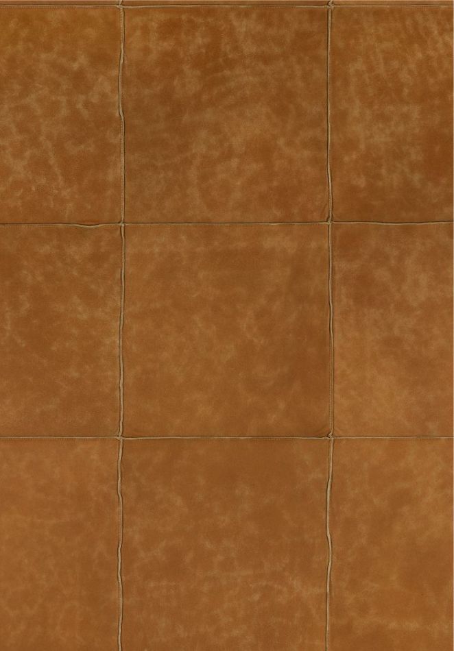 Preview: Les Cuirs Aspect 33555 PUMPKIN