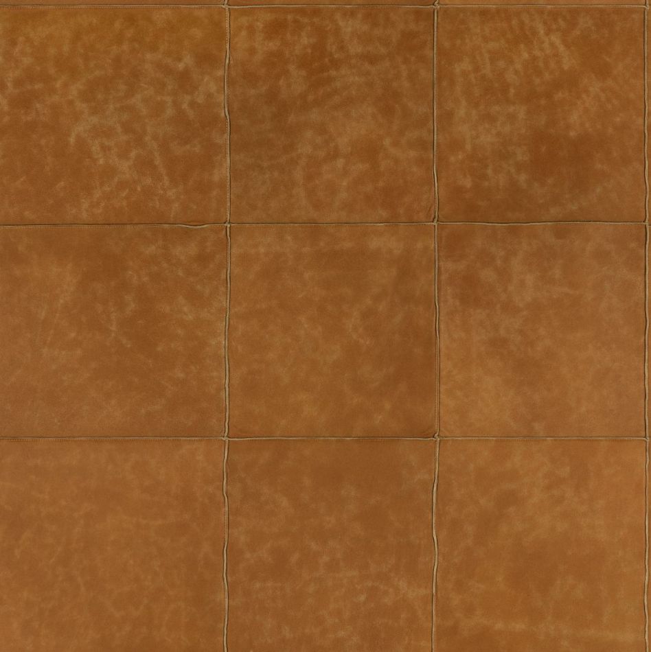 Preview: Les Cuirs Aspect 33555 PUMPKIN