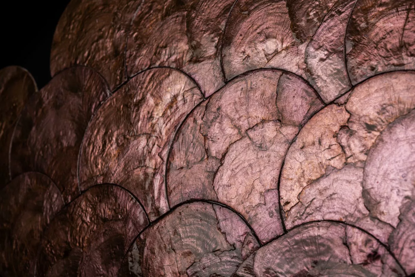 Samal Camber 33733 Vintage Blush