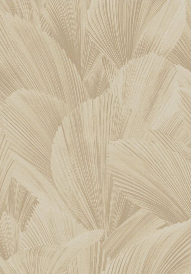 Preview: Licuala 340120