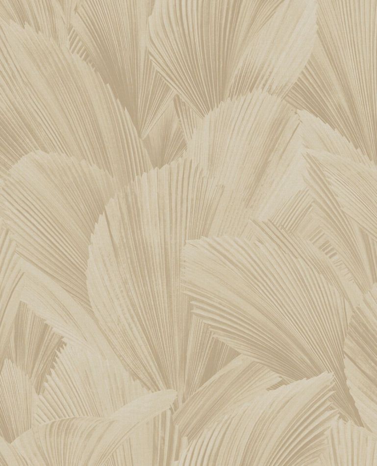 Preview: Licuala 340120