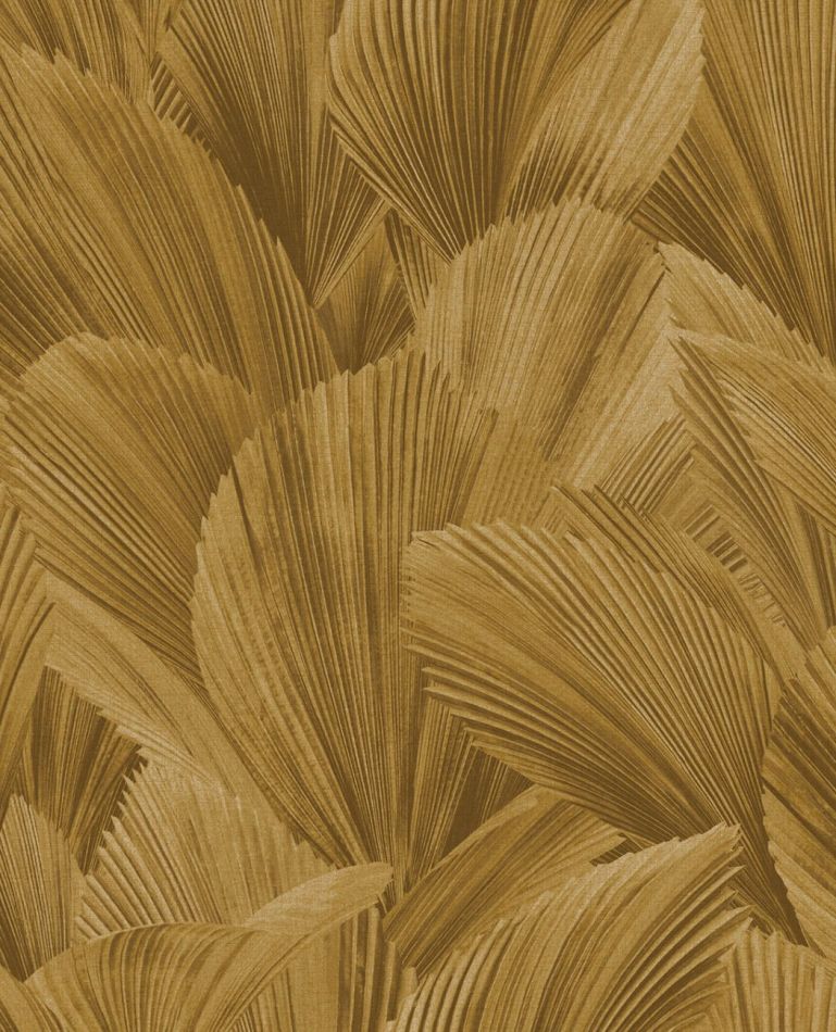 Preview: Licuala 340124