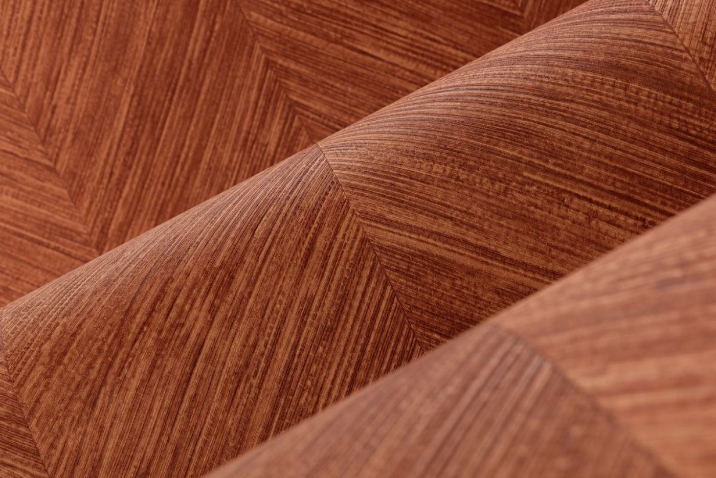 Preview: Selva Corteza 34204