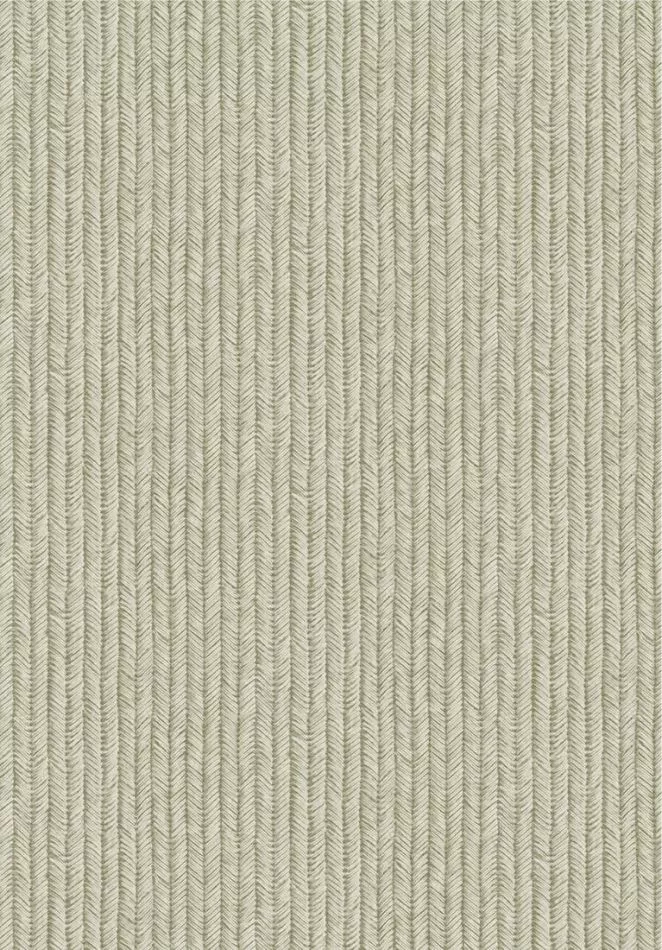 Corduroy 350576 Green