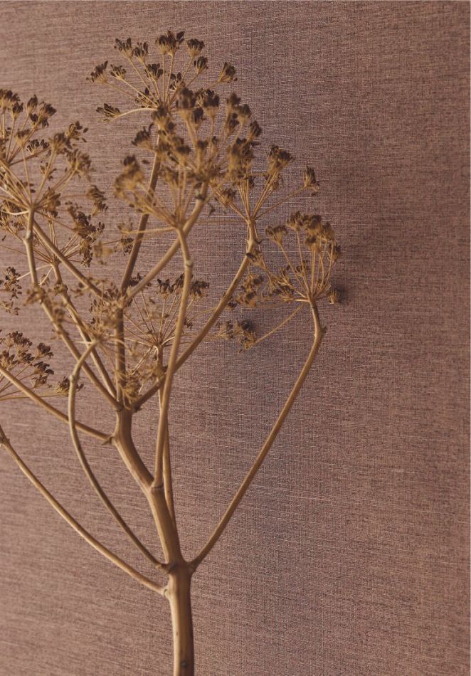 Preview: Uni 350592 Terracotta