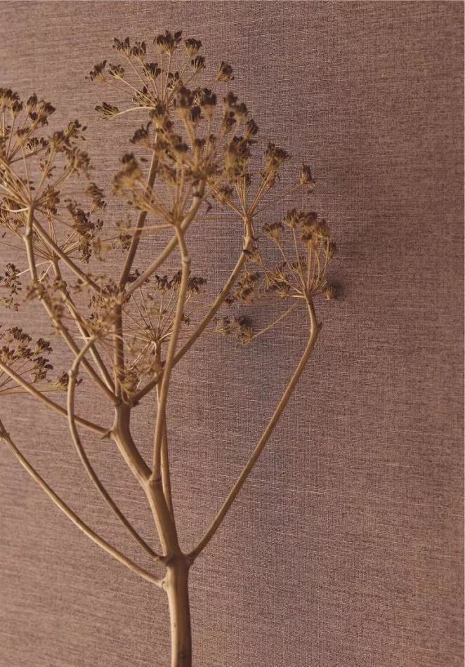 Uni 350592 Terracotta