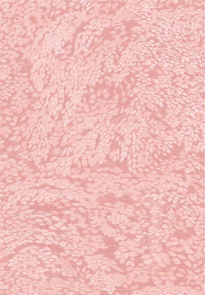 Preview: Whisper 351273 Rose