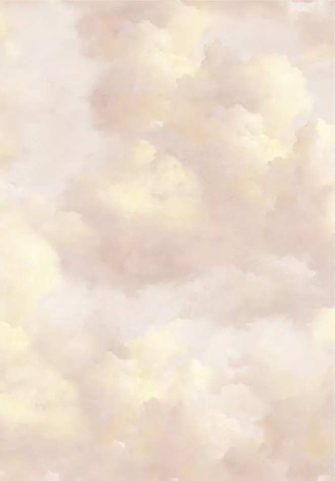 Cumulus 351281 Summer Evening