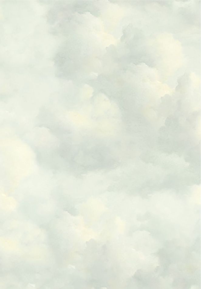 Preview: Cumulus 351283 Morning Mist