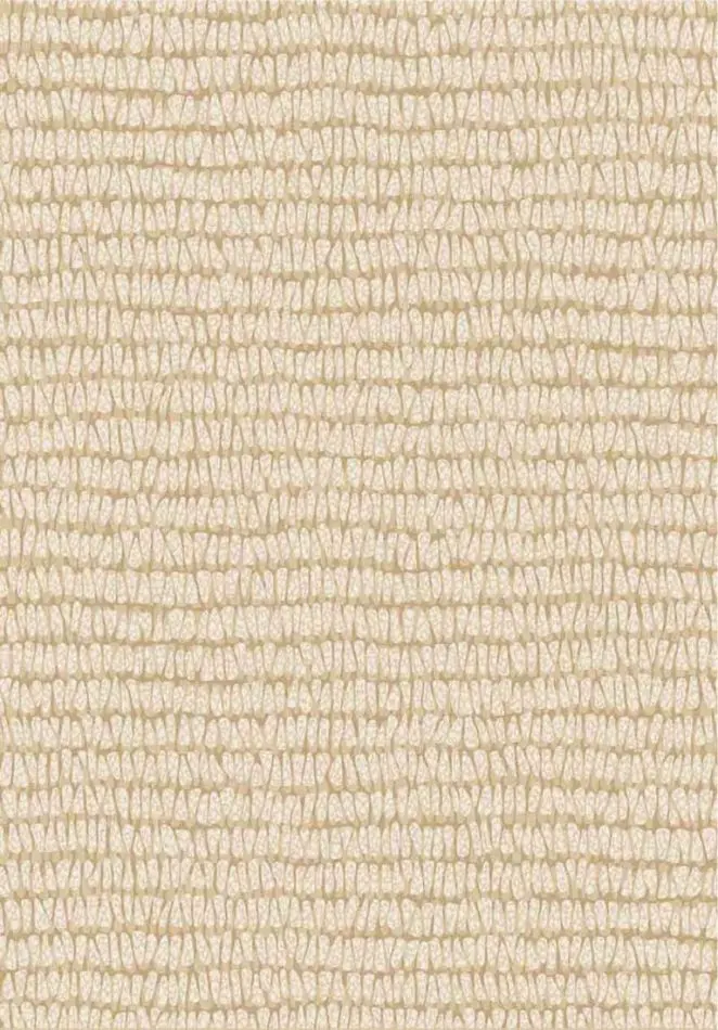 Maize 363340 natur