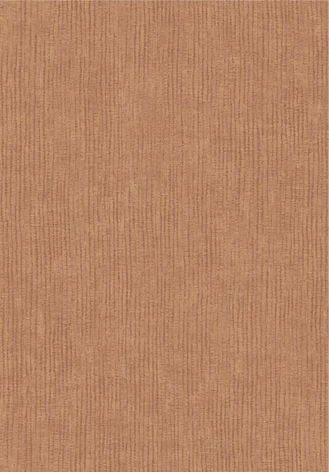 Ridge 363367 orange