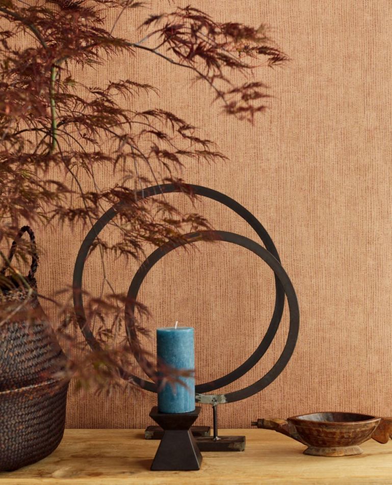 Preview: Terra 391540