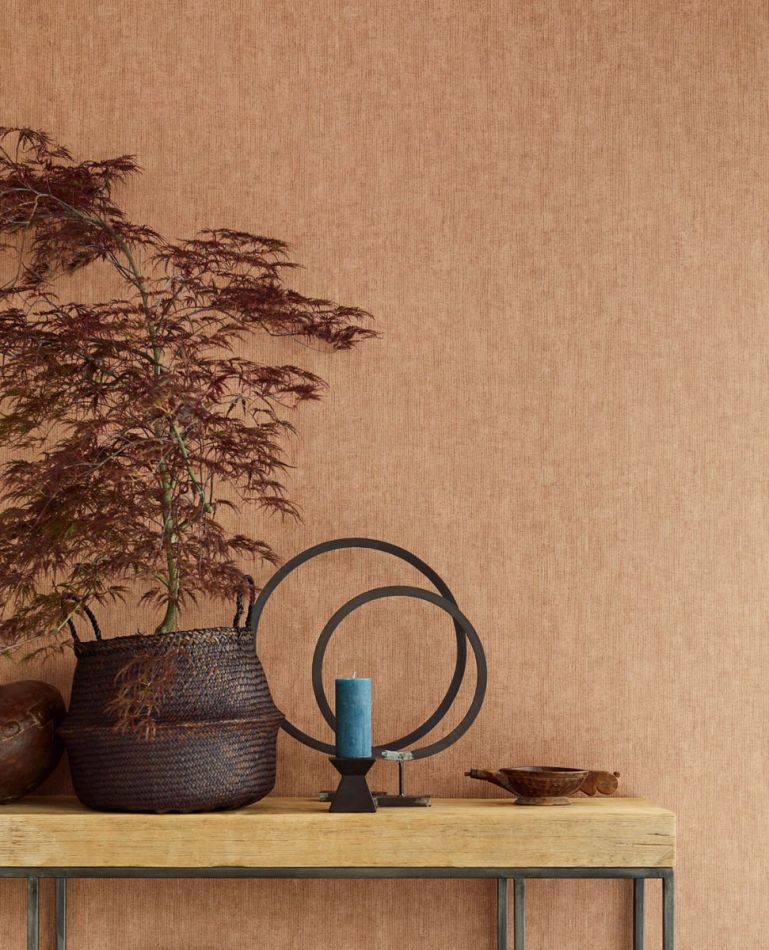 Preview: Terra 391540