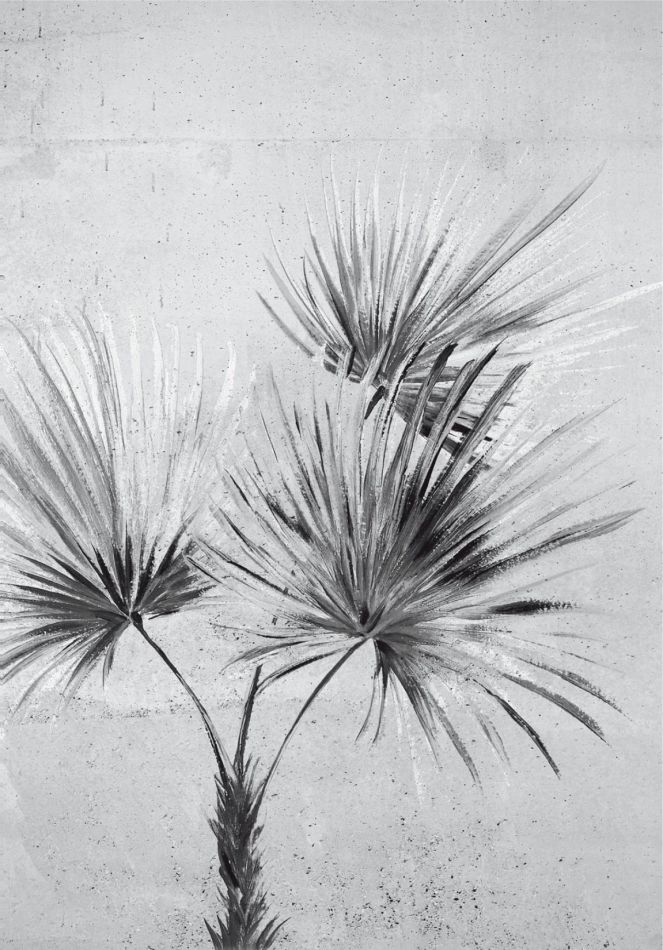 Preview: Terra Wandmotiv 391567