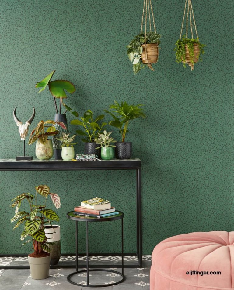 Preview: Carmen 392554