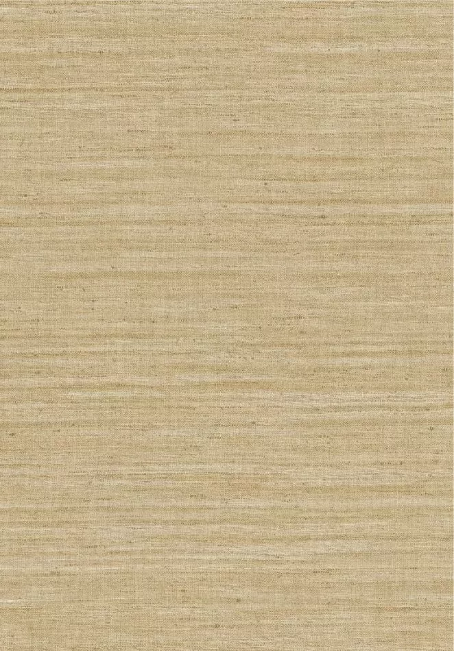 Lignes 40510 Straw