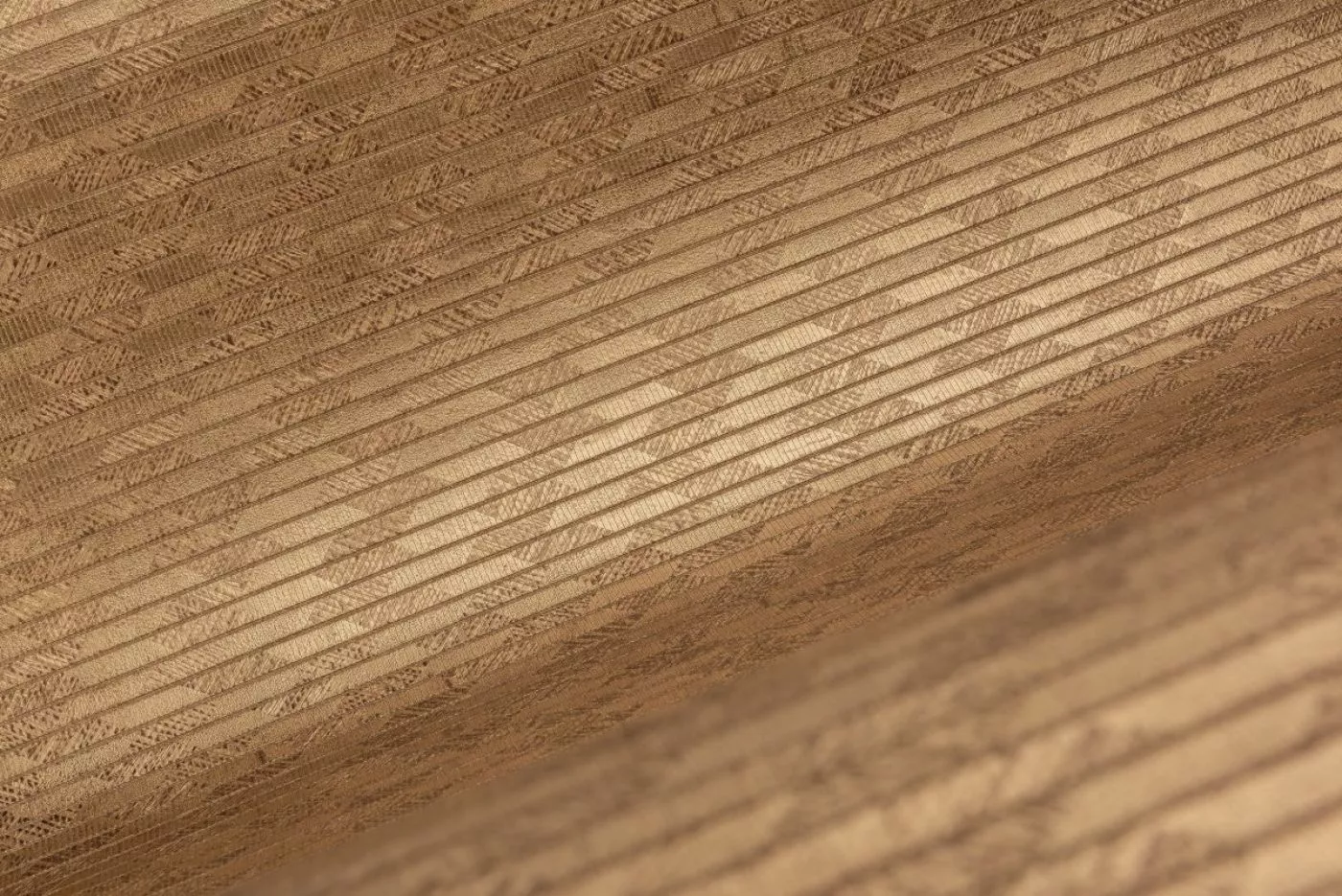 Cantala Papyrus 48553